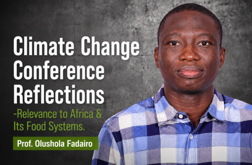 Prof. Olusola Fadairo: COP29 Climate Change Conference Reflections – Relevance to Africa & Its Food Systems